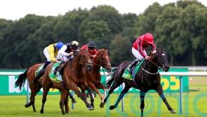 Fortune favours Fahey’s Wootton’Sun at Haydock
