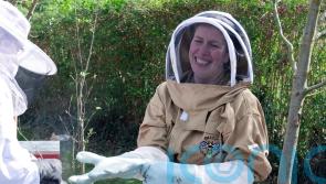 Beekeeping has gone viral – but how easy is it?