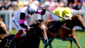 Donnacha O’Brien eyeing Phoenix challenge for Porta Fortuna