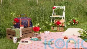 10 ways to style up your picnic