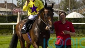 My Prospero set to drop in class for York Stakes outing