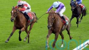 Goodwood specialist Quinn recalls Persian Punch’s glory days