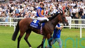 O’Brien taken aback by speed of Paddington’s improvement