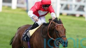 Rogue Millennium chasing Group One glory at Deauville