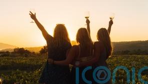 Taste of Spain: 7 top drops to sip in the sunshine