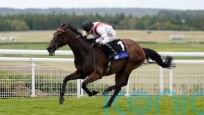 Hamish produces glorious performance for Goodwood honours