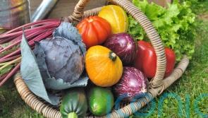 Tips and tricks to preserve your harvest