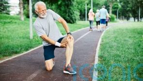 Study reveals how muscle cells deteriorate with age, hampering injury recovery
