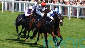 Saint Lawrence thrilling connections with recent progress