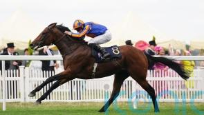 Jumps legend Maguire rates Paddington as ‘best I’ve ever ridden’