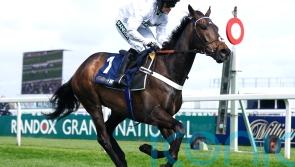 Constitution Hill back with Henderson, but no chasing decision yet