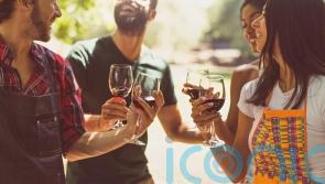 The best affordable South American wines to stock up on now