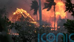 Devastating wildfires in Hawaii leave at least 36 people dead