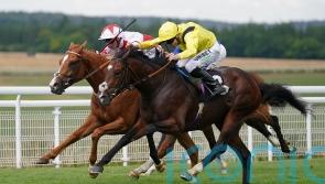 Fellowes considering international targets for Marbaan