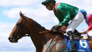 Vadeni retired to stand at Aga Khan’s stud