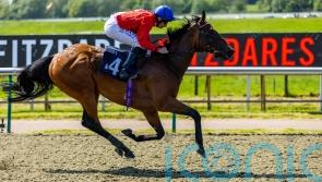 Sacred following York money after bypassing Hungerford option