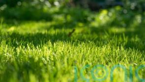 What you really need to do in autumn to keep your lawn in shape
