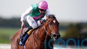 Nostrum set for thorough check-up after York disappointment