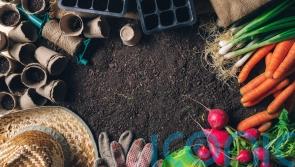Organic September: How do you know if you are really gardening organically?