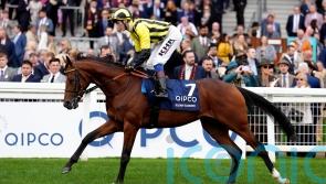Curragh and Irish St Leger still the aim for Eldar Eldarov