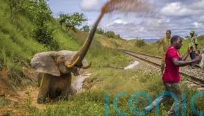 See the stunning new Wildlife Photographer of the Year exhibition pictures