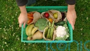 Organic September: What actually makes a food organic?