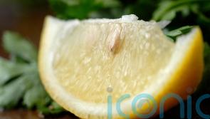 Can you grow a lemon tree from a pip? The beginner gardening questions we all want to ask