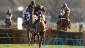 Cape Gentleman enjoying life in America after recovering from National injury