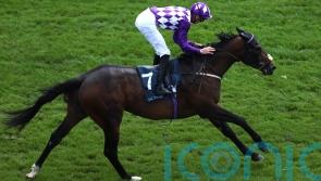 James Doyle delighted to get back on Shaquille in Sprint Cup