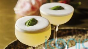 3 gin cocktails to whet your whistle
