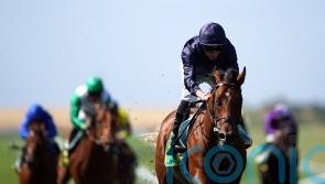 National Stakes set to be must-watch, with O’Brien colts poised for action