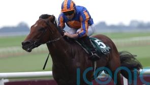 Henry Longfellow is National hero, as O’Brien lands 4,000th winner