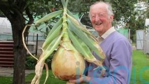 Meet the man who grows the biggest vegetables in the world