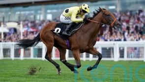 Rosallion seeking to spark Champagne celebration