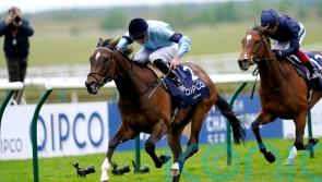 Boughey pleased as ‘fresh’ Cachet returns from lengthy absence