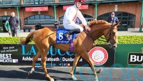 Maxux hits the back of the net at Fairyhouse