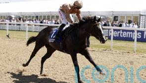 Sense Of Duty on track for long-awaited return to action