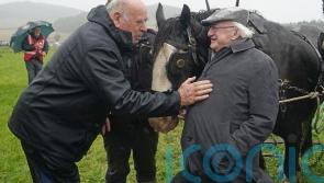 Irish president suggests climate changes ‘not as simple’ as giving up meat