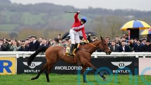 Envoi Allen ready to start off at Gowran Park on Saturday