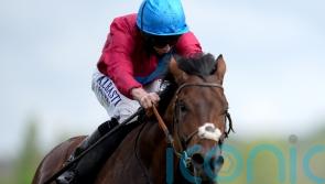Bay Bridge team buoyed by Stoute’s desire to go for Arc glory