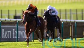 Carla’s Way rocks at Newmarket to line up Breeders’ Cup bid