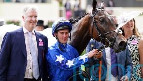 Snellen on redemption trail at the Curragh this weekend