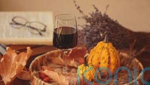 6 feel-good red wines to toast the switch in seasons