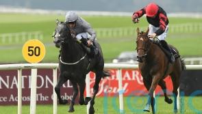 Fallen Angel to skip Fillies’ Mile and wait for next year