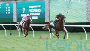 West thrilled with Live In The Dream’s Breeders’ Cup prep