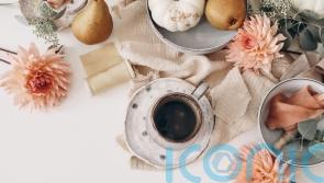 Autumn décor ideas for a seasonal refresh