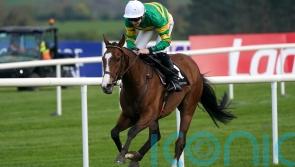 A Dream To Share ruled out of eagerly-awaited hurdling bow