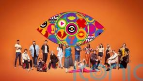 The psychology of Big Brother: How to survive in the house