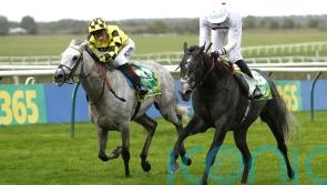 Alsakib makes another leap with Rowley Cup verdict