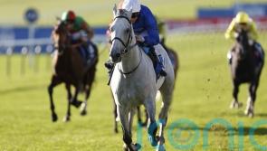 Highland Avenue stamps class on Darley Stakes